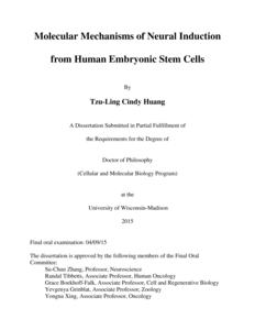 Molecular Mechanisms of Neural Induction from Human Embryonic Stem Cells
