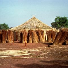 Grass Bundles to be Used for the Thatched Roof