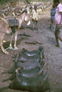 Goat Skin Water Bags Just Filled with Water at Well South of Zinder