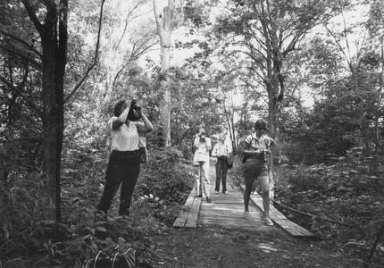 Photographers on Cofrin Memorial Arboretum trail