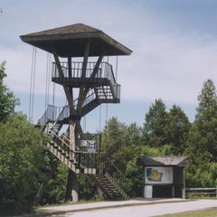 Cofrin Memorial Arboretum Tower