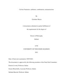 Calvino Fantastico: ambiente, combinatoria, metanarrazione