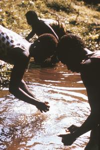 Preparing Cassava (Manioc) by Soaking in Pond