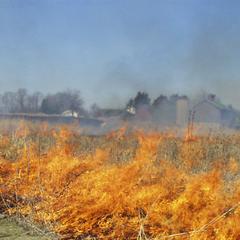 Burning the Waterville Prairie