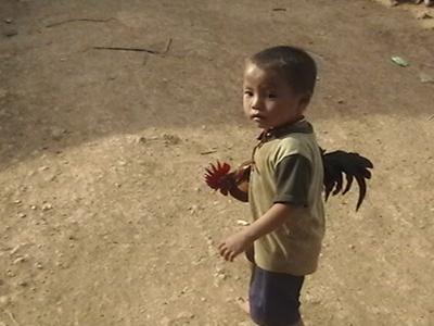 Little boy with a rooster