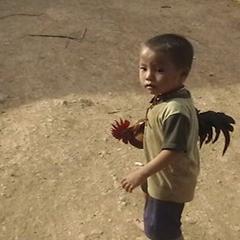 Little boy with a rooster