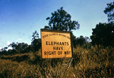 Elephants Have the Right of Way Sign in Queliz Park