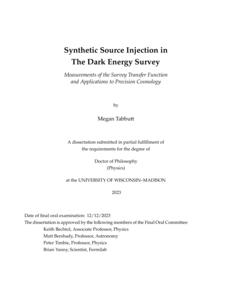 Synthetic Source Injection in The Dark Energy Survey Measurements of the Survey Transfer Function and Applications to Precision Cosmology