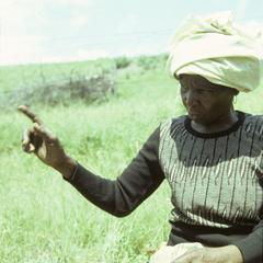 Nongenile Masithathu Zenani, performing