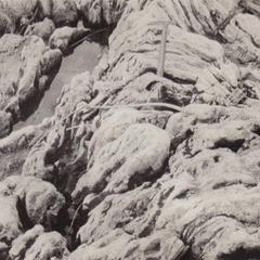 1918 Training camp - folded gneiss