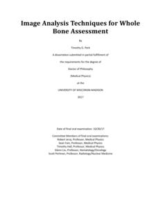 Image Analysis Techniques for Whole Bone Assessment