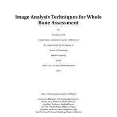 Image Analysis Techniques for Whole Bone Assessment