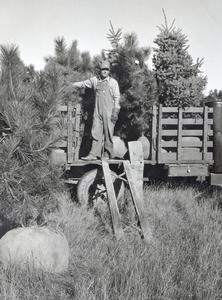 Civilian Conservation Corps Workman, UW Arboretum