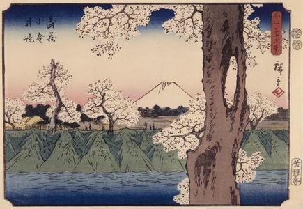 The Embankment at Koganei in Musashi Province, no. 33 from the series Thirty-six Views of Mt. Fuji