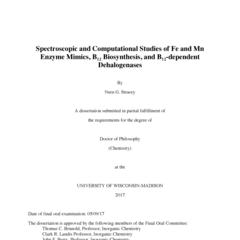 Spectroscopic and Computational Studies of Fe and Mn Enzyme Mimics, B12 Biosynthesis, and B12-dependent Dehalogenases