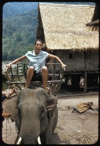 Pak Tha trip- Xayabury elephant