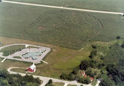 Aerial view of corn maze in shape of a phoenix