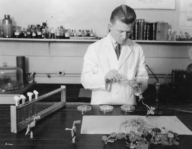 O. N. Allen in laboratory