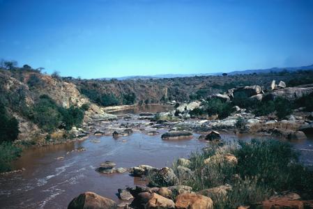 Gray Rocks and Hippopotamus in Komat River
