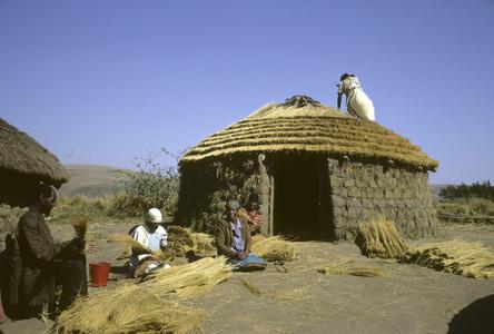 Southern Africa : Domestic Activities : building a house, building the roof