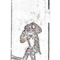 Old World Monkey Print