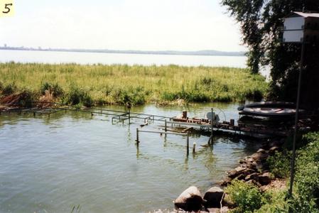 Lake Mendota floating bog