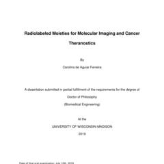 Radiolabeled Moieties for Molecular Imaging and Cancer Theranostics