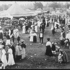 County fair