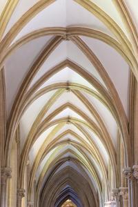 Wells Cathedral interior nave aisle vaulting