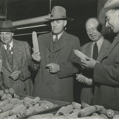 Four men look at ears of corn