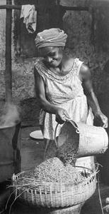 Woman Laying Out Rice After Steaming