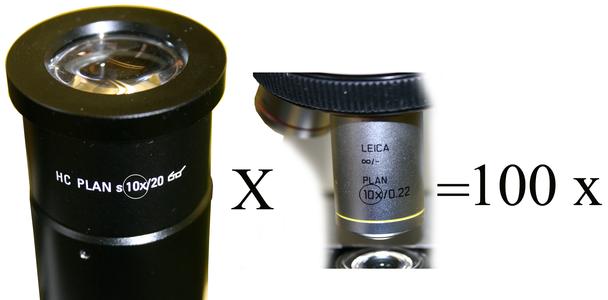 View of objective and ocular lenses showing their individual magnification.