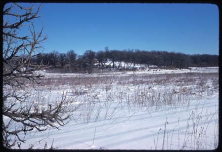 Winter view from the south of West Grady Knoll; Greene Prairie, University of Wisconsin Arboretum