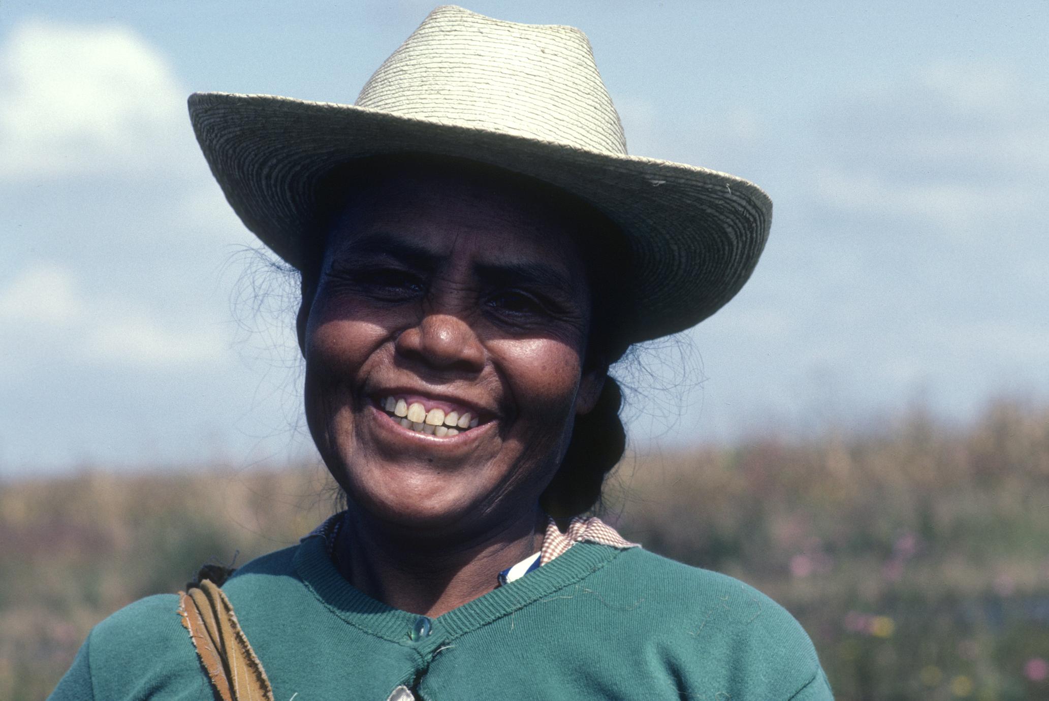 Woman, corn harvest west of Toluca