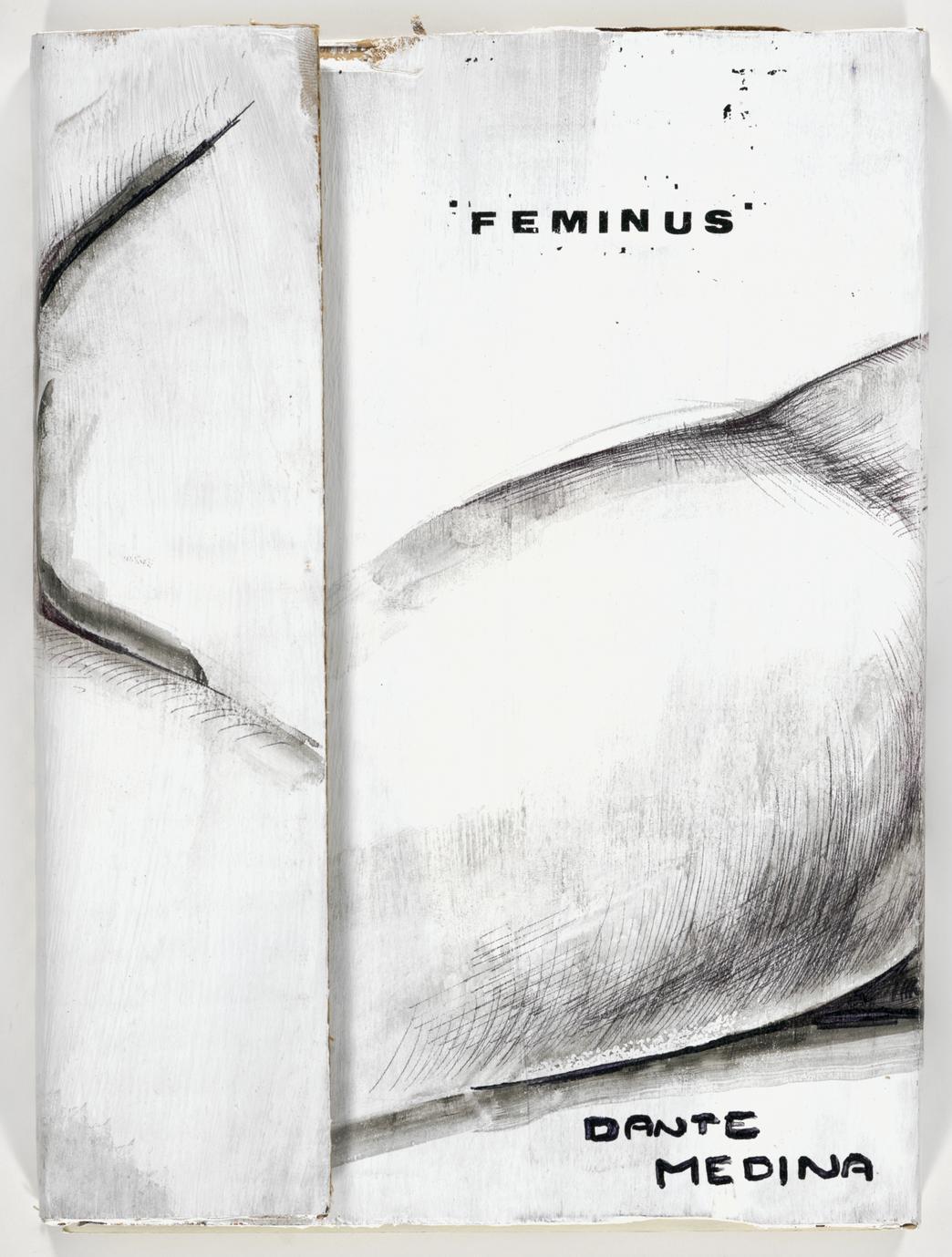 Feminus (1 of 4)