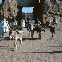 Donkeys and People at Old Entrance to Zaria City