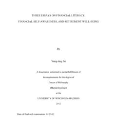 THREE ESSAYS ON FINANCIAL LITERACY, FINANCIAL SELF-AWARENESS, AND RETIREMENT WELL-BEING