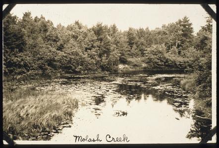 Molash Creek