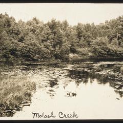 Molash Creek