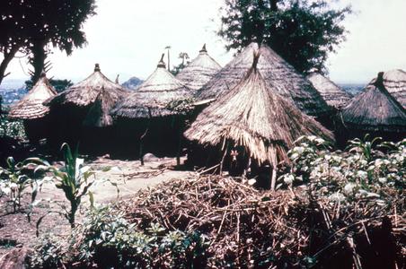 A Village on the Jos Plateau