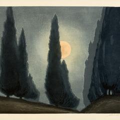 Cypress Trees in Moonlight
