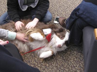 Students, Rusty the Therapy Dog, Janesville, 2014