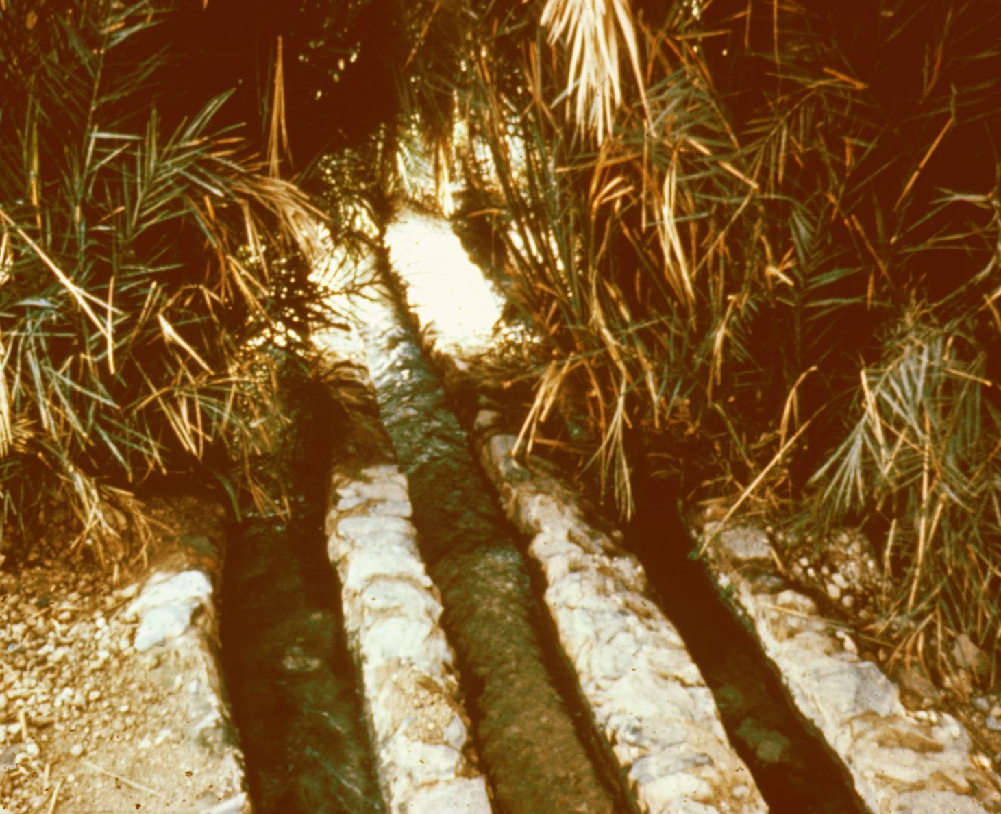 Irrigation Canals at Figuig