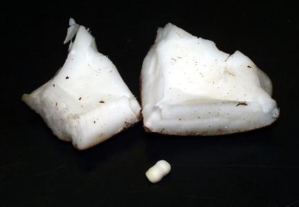 Dissected coconut with endosperm and embryo separated