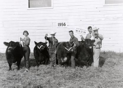 Young people with cows, 1956 Wisconsin Livestock Breeders Association Show