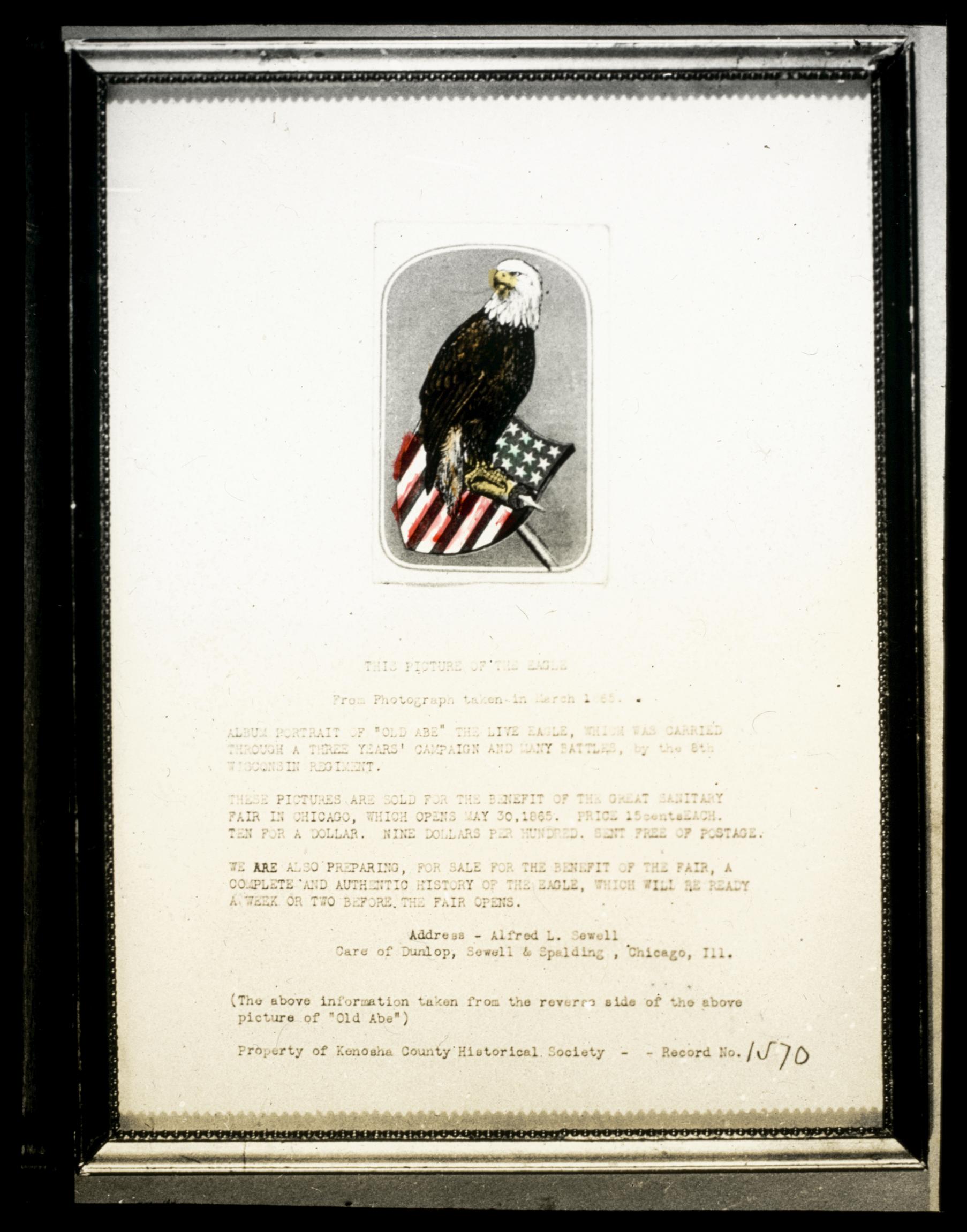 Old Abe, the eagle - UWDC - UW-Madison Libraries