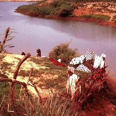 Women Doing Laundry in Senegal River at Diattar