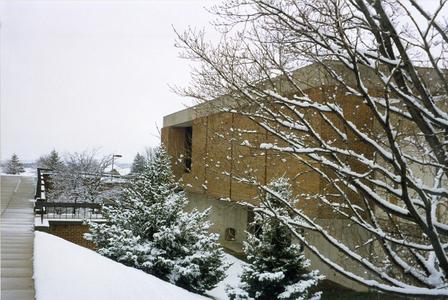 Library in the snow