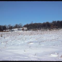 View of West Grady Knoll from the south; Greene Prairie, University of Wisconsin Arboretum