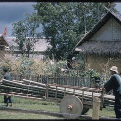 Nam Tha : wagon hauling bamboo